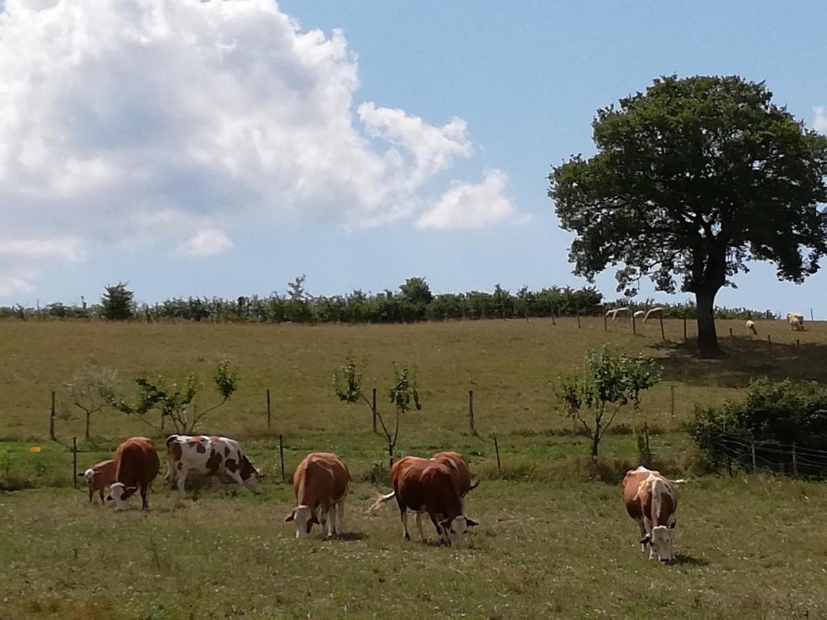 Valle Del Poggio Ночера-Умбра Екстер'єр фото